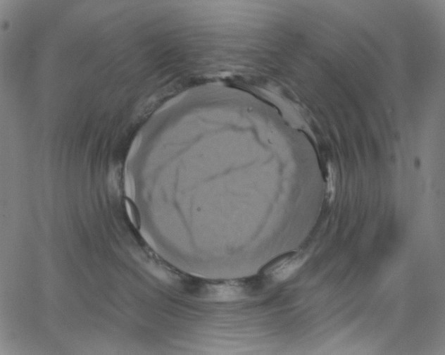 X0000067350286200604281450