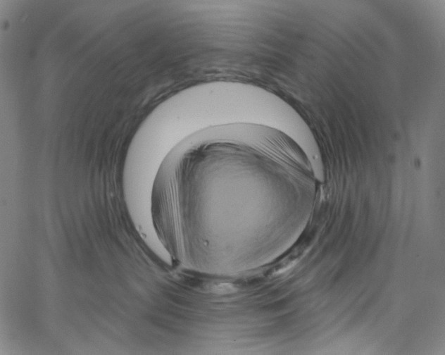 X0000067350287200604281450