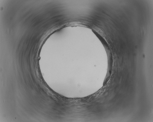 X0000067350289200604281449