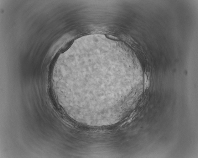 X0000067350291200604281449