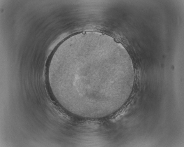 X0000067350292200604281449