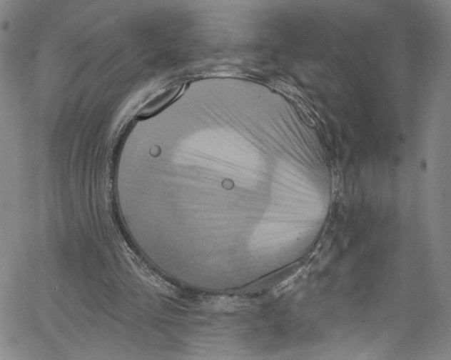 X0000067350293200604281449