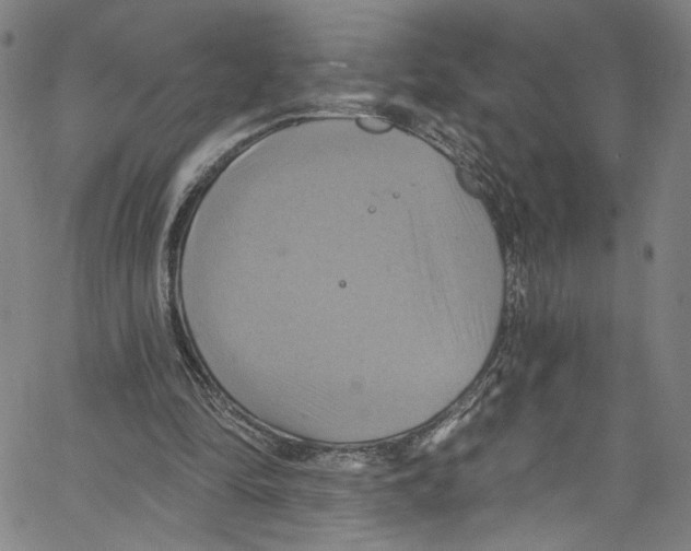 X0000067350294200604281449