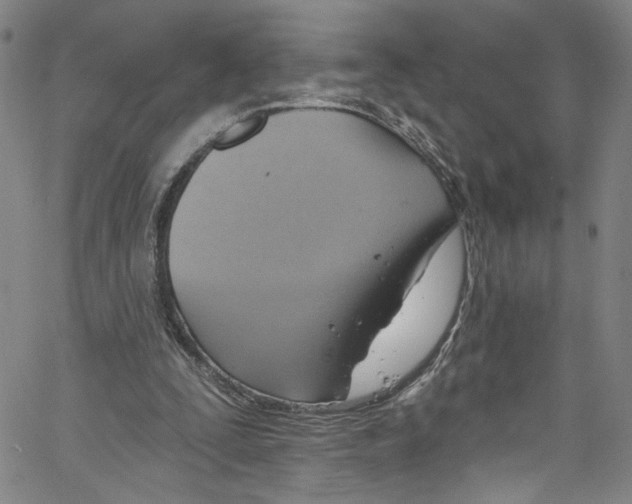 X0000067350295200604281449