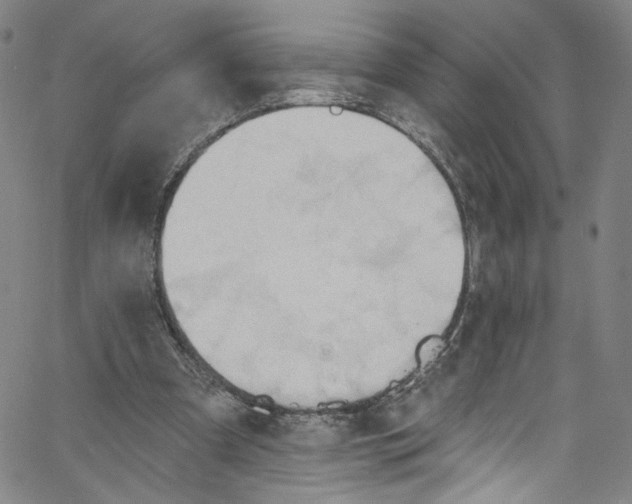 X0000067350297200604281449