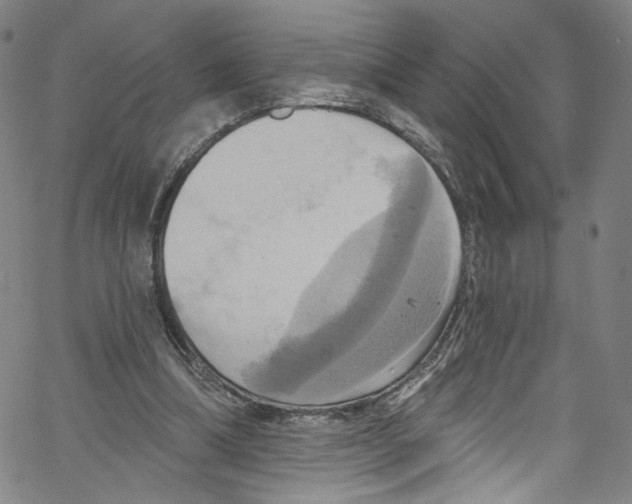 X0000067350298200604281449