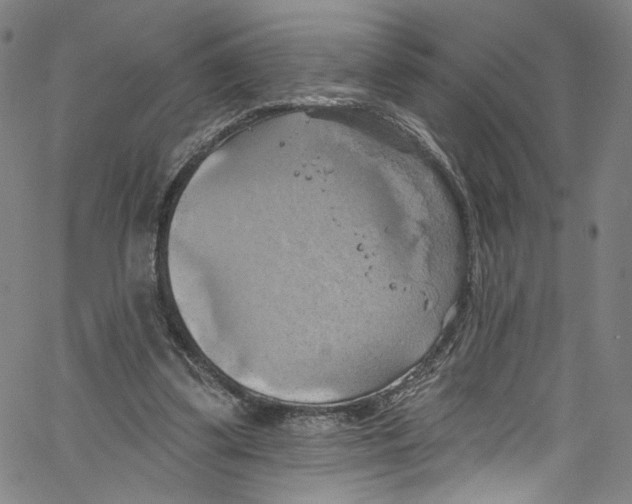 X0000067350299200604281449