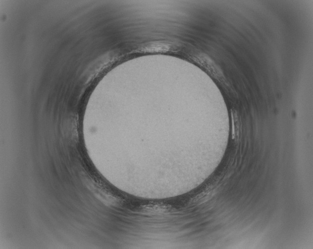 X0000067350300200604281449