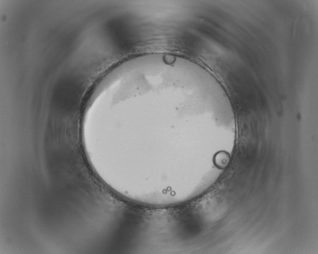 X0000067350301200604281449