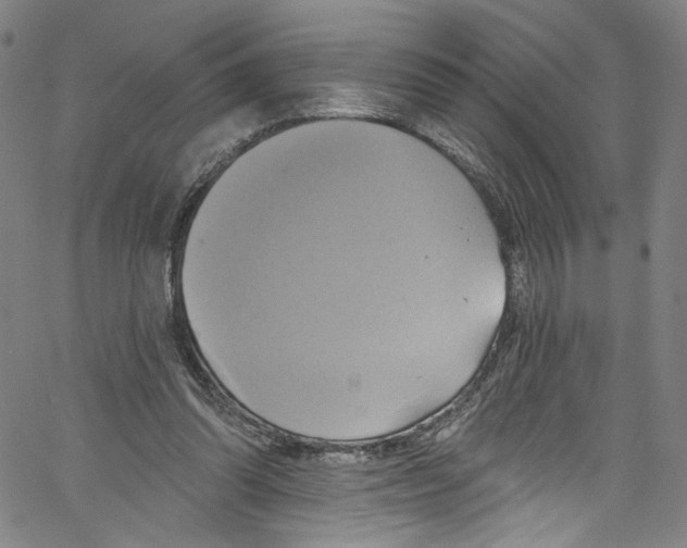 X0000067350302200604281449