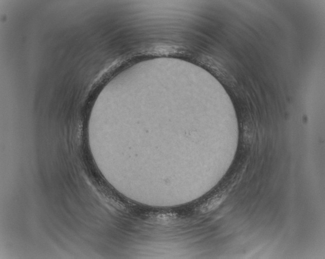 X0000067350304200604281449