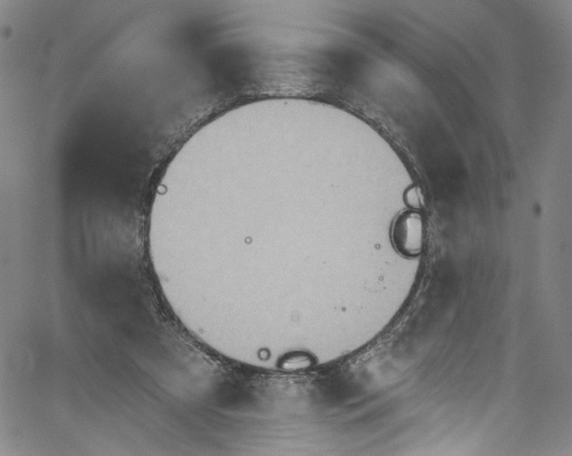 X0000067350305200604281449