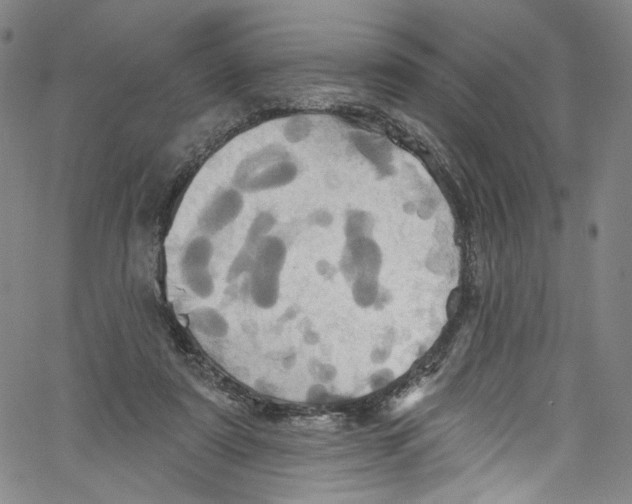 X0000067350307200604281449