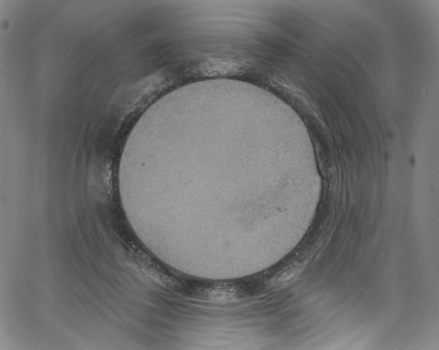 X0000067350308200604281449