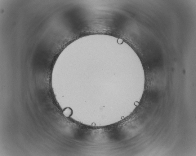 X0000067350309200604281449