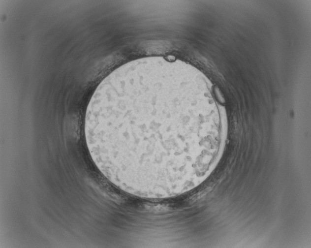 X0000067350311200604281449