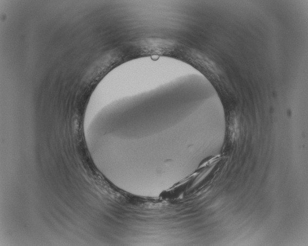 X0000067350314200604281448