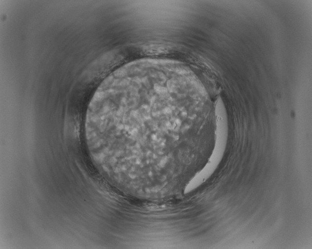 X0000067350315200604281448