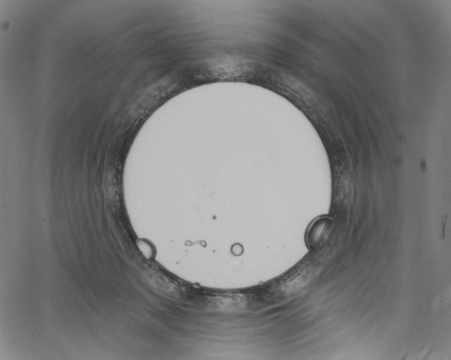 X0000067350317200604281448