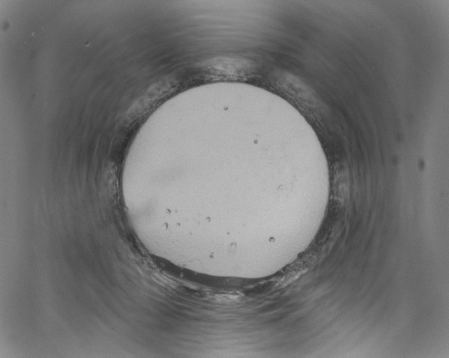 X0000067350318200604281448