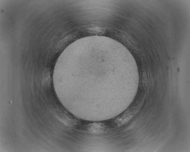 X0000067350320200604281448