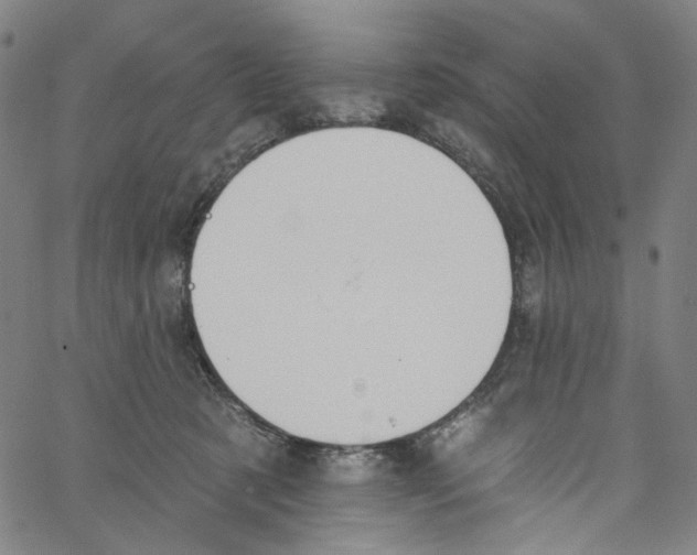 X0000067350321200604281448