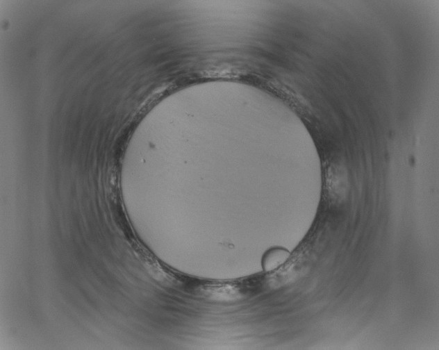 X0000067350322200604281448