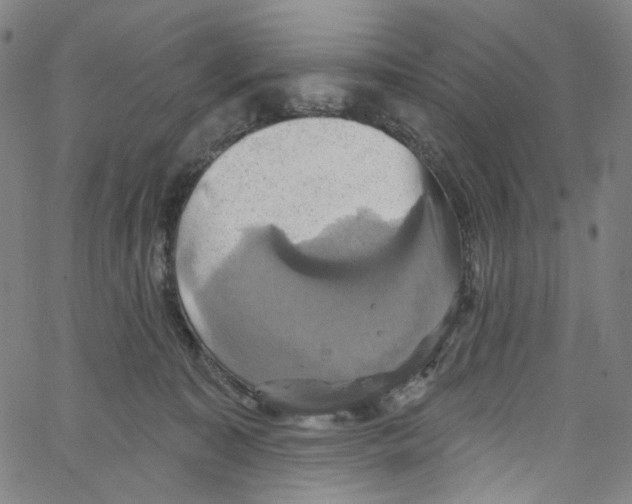 X0000067350323200604281448