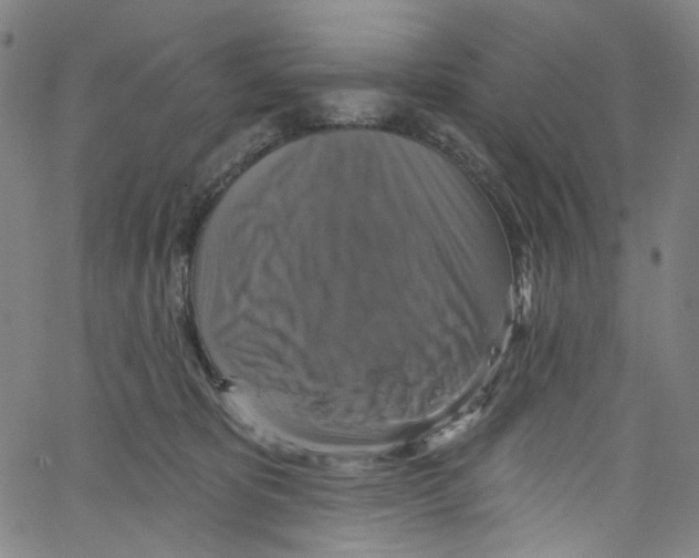 X0000067350325200604281448