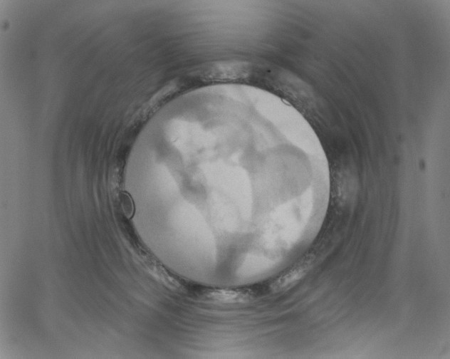 X0000067350326200604281448