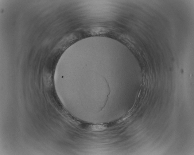 X0000067350327200604281448