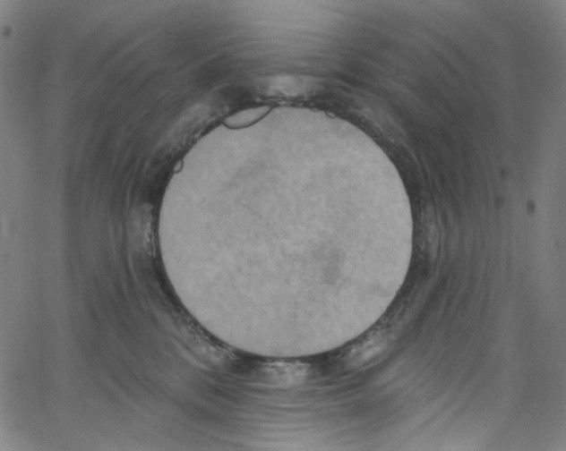 X0000067350328200604281448