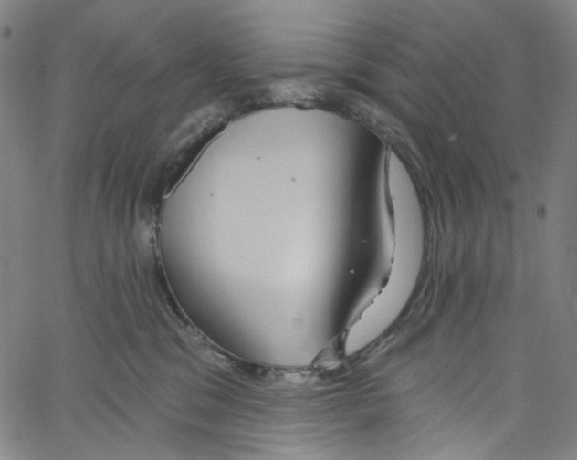 X0000067350329200604281448