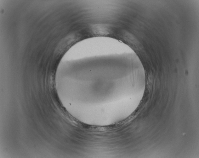 X0000067350330200604281448