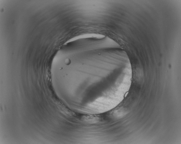 X0000067350331200604281448