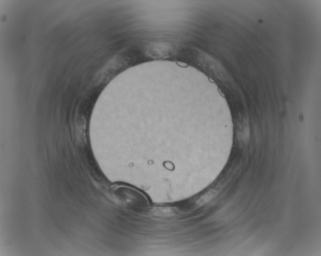 X0000067350332200604281448