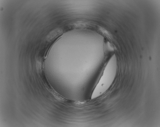 X0000067350333200604281448