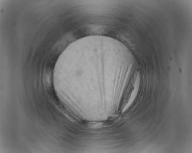 X0000067350334200604281448