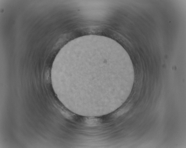 X0000067350336200604281448