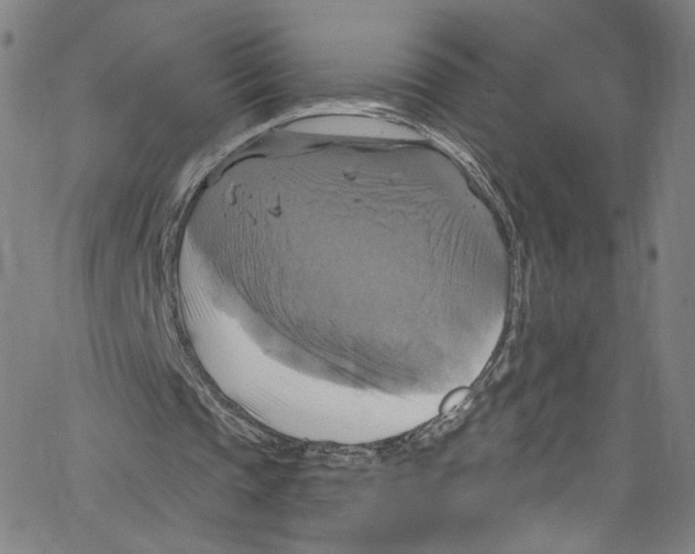 X0000067350337200604281447