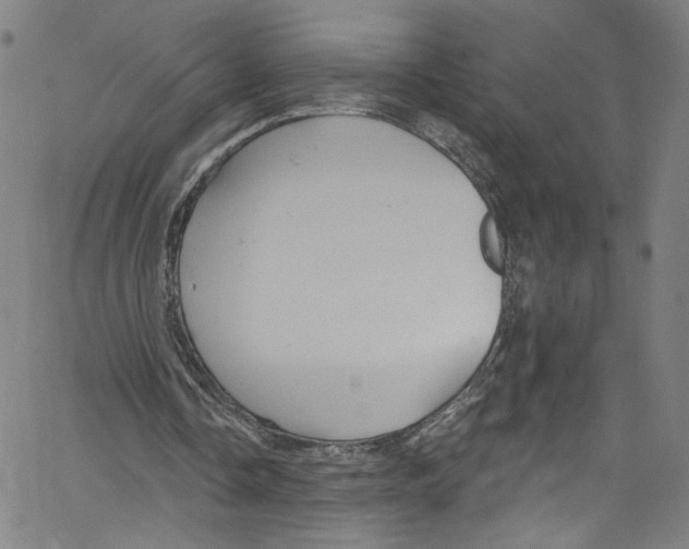 X0000067350338200604281447