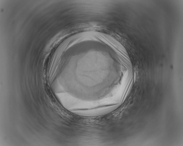 X0000067350339200604281447