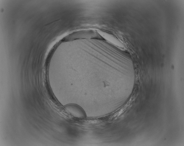 X0000067350342200604281447