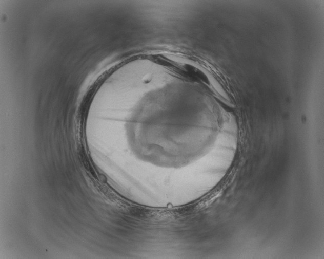 X0000067350343200604281447