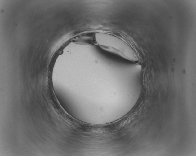 X0000067350344200604281447