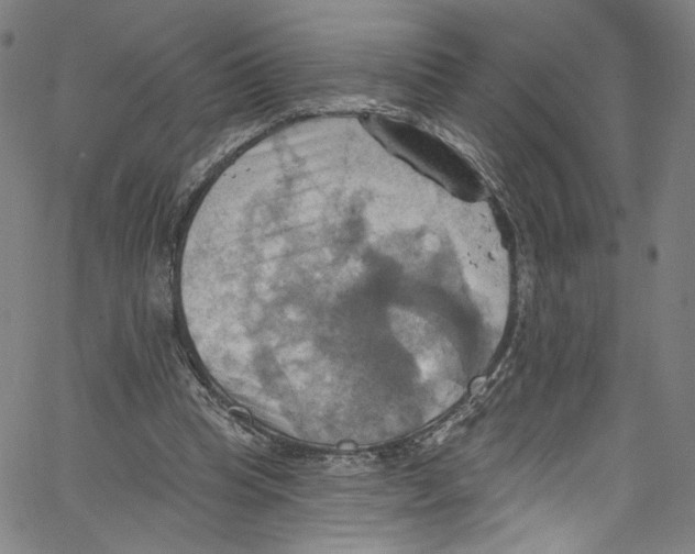 X0000067350345200604281447