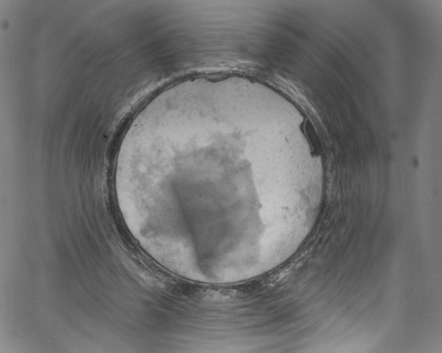 X0000067350346200604281447