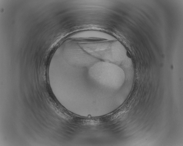 X0000067350347200604281447