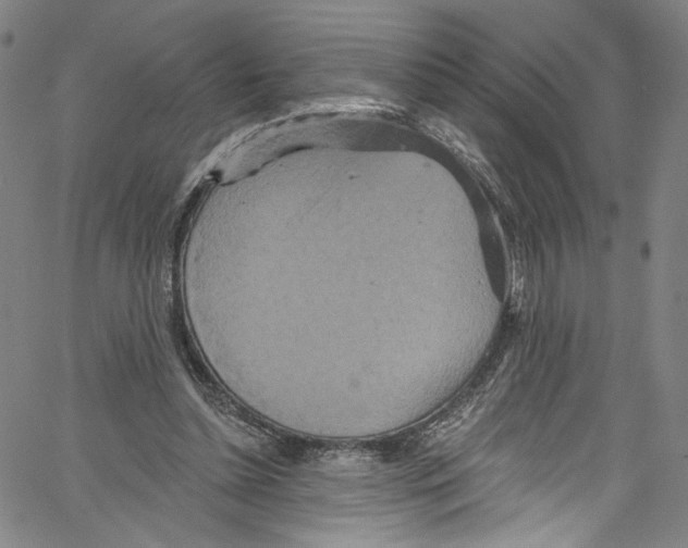 X0000067350348200604281447