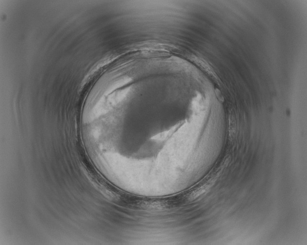 X0000067350349200604281448